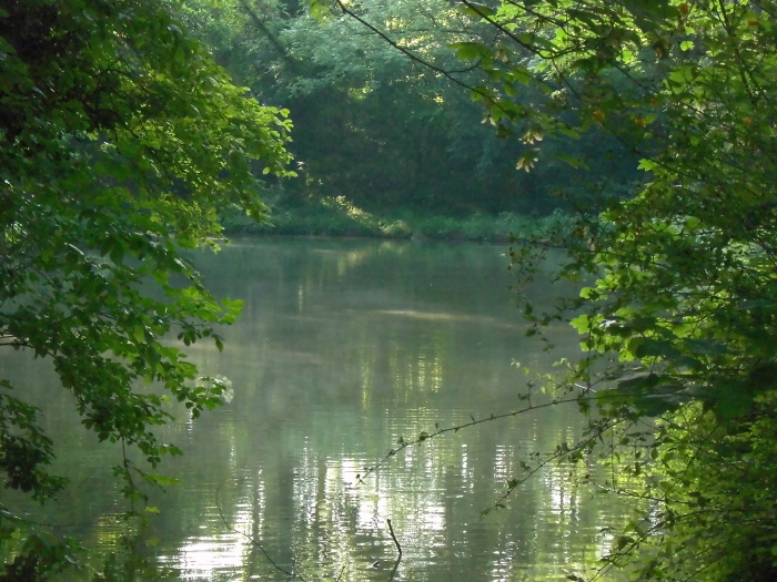 Erftteich-2