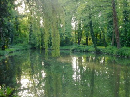 Erftteich